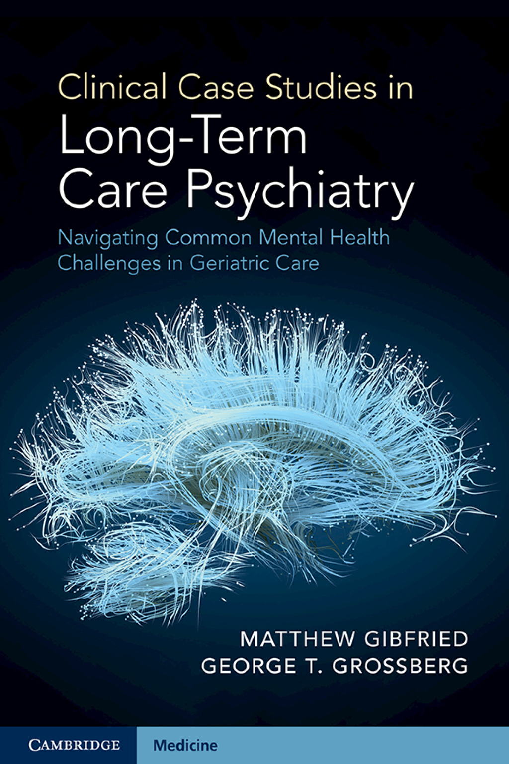 Clinical Case Studies in Long-Term Care Psychiatry Navigating Common Mental Health Challenges in Geriatric Care 