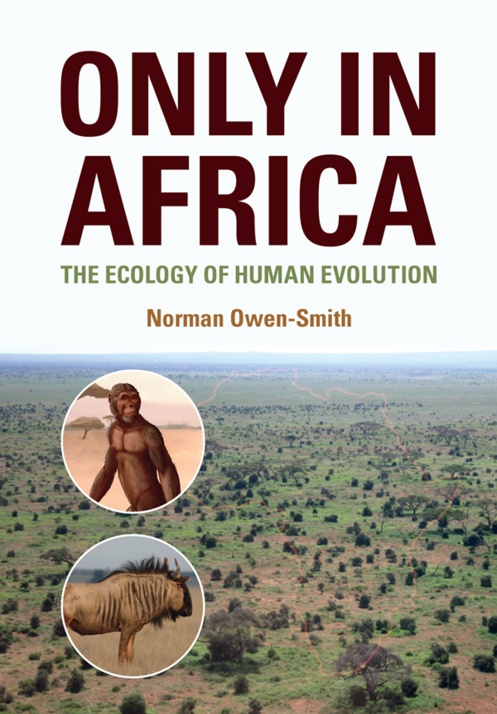 Only in Africa The Ecology of Human Evolution 