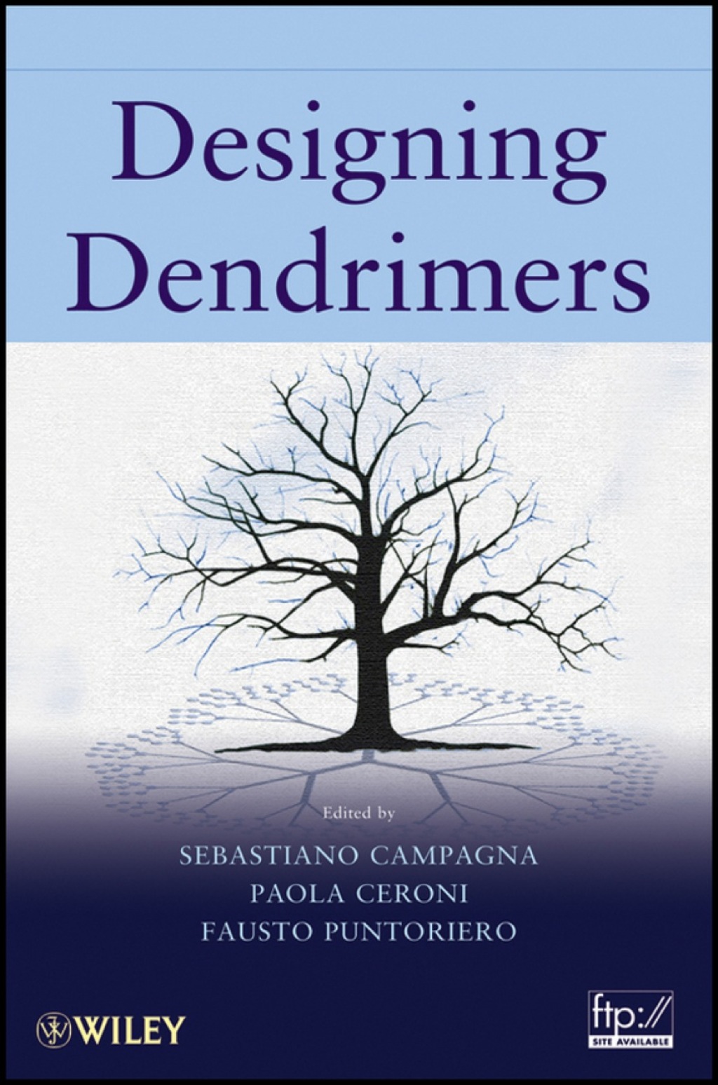 Designing Dendrimers 1st Edition