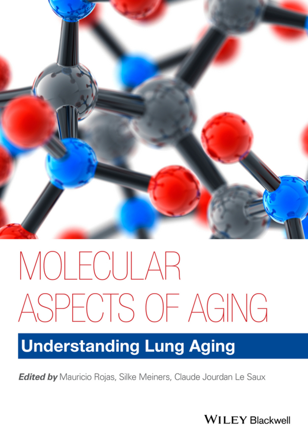 Molecular Aspects of Aging Understanding Lung Aging 1st Edition