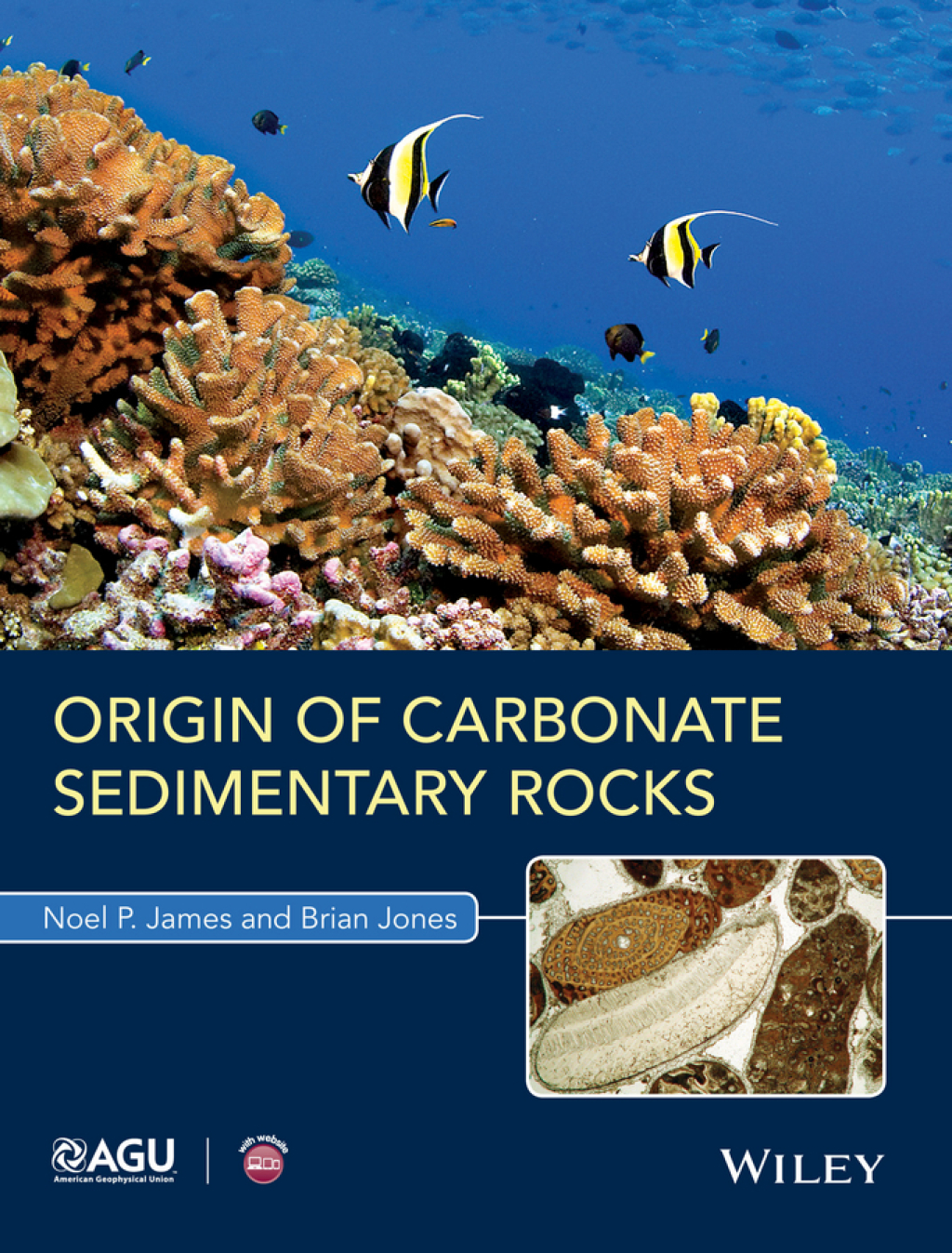 Origin of Carbonate Sedimentary Rocks 1st Edition