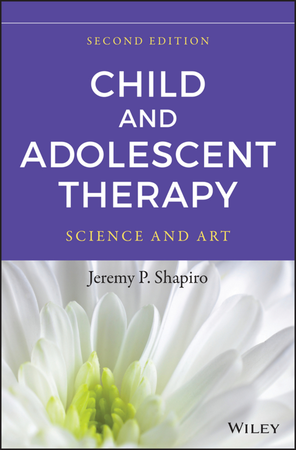 Child and Adolescent Therapy: Science and Art 2nd Edition