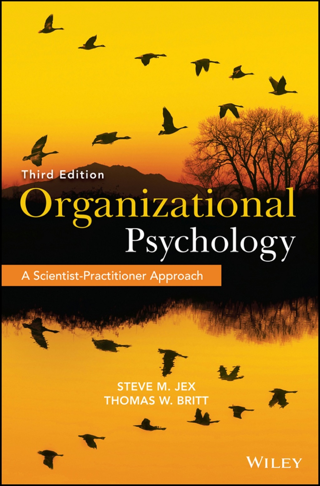 Organizational Psychology: A Scientist-Practitioner Approach 3rd Edition