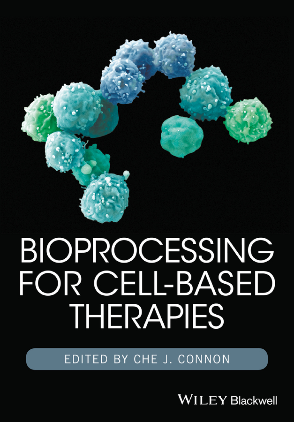 Bioprocessing for Cell-Based Therapies 1st Edition
