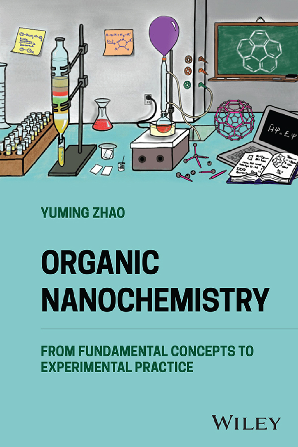 Organic Nanochemistry From Fundamental Concepts to Experimental Practice 1st Edition