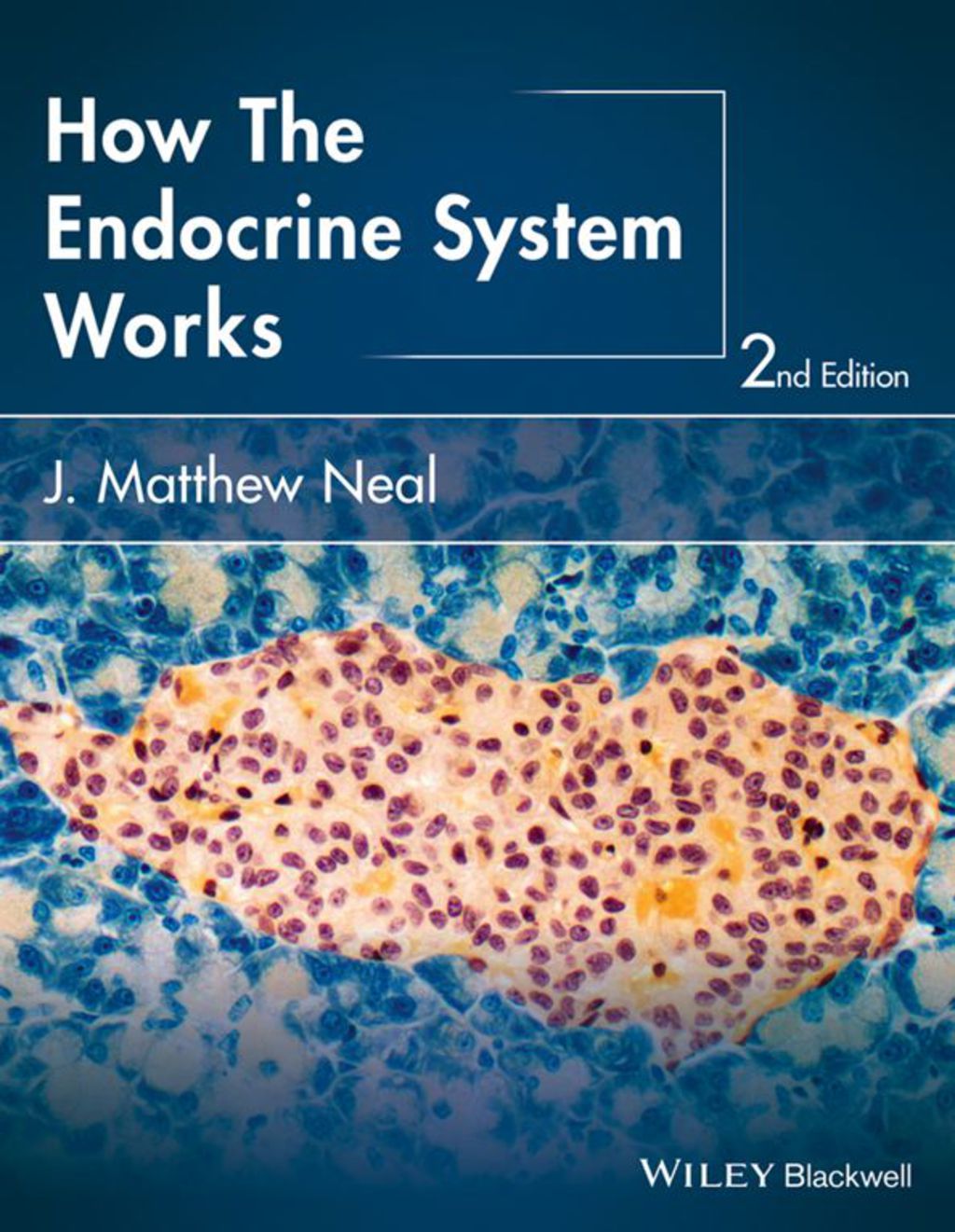 How the Endocrine System Works 2nd Edition