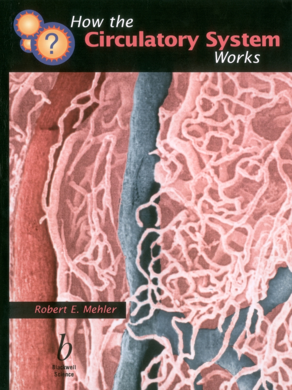How the Circulatory System Works 1st Edition