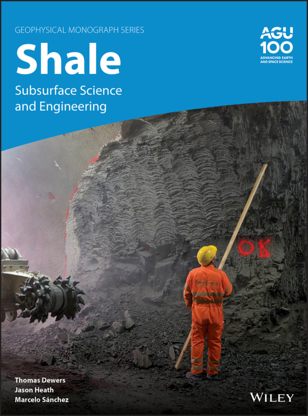 Shale Subsurface Science and Engineering 1st Edition