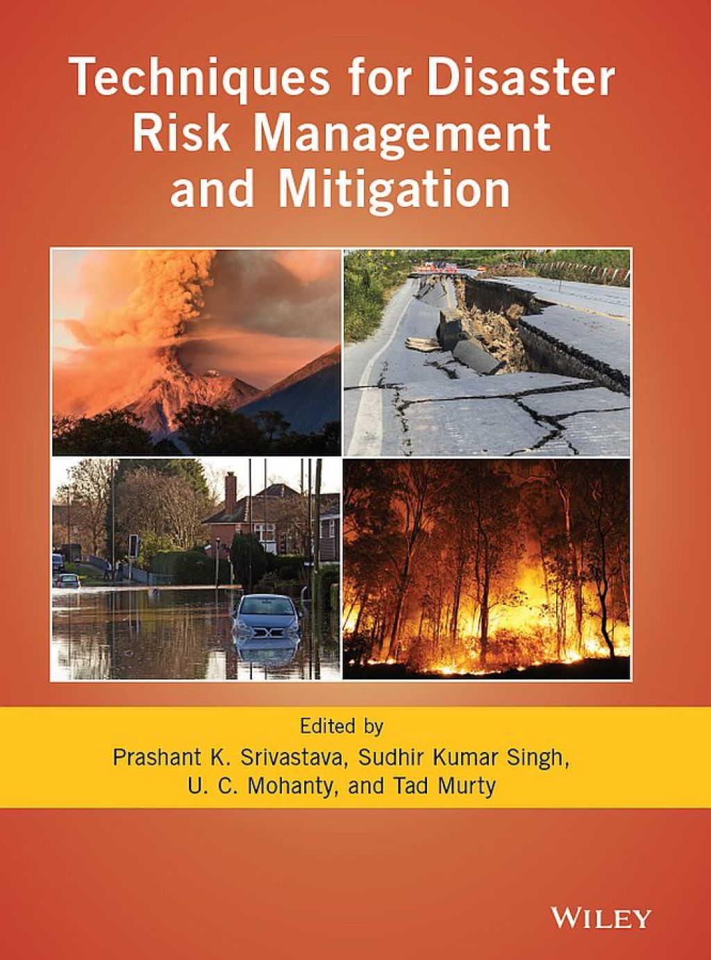 Techniques for Disaster Risk Management and Mitigation 1st Edition