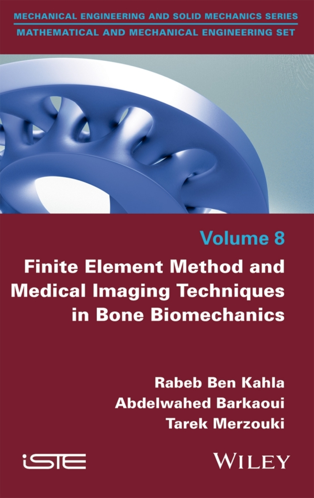 Finite Element Method and Medical Imaging Techniques in Bone Biomechanics 1st Edition