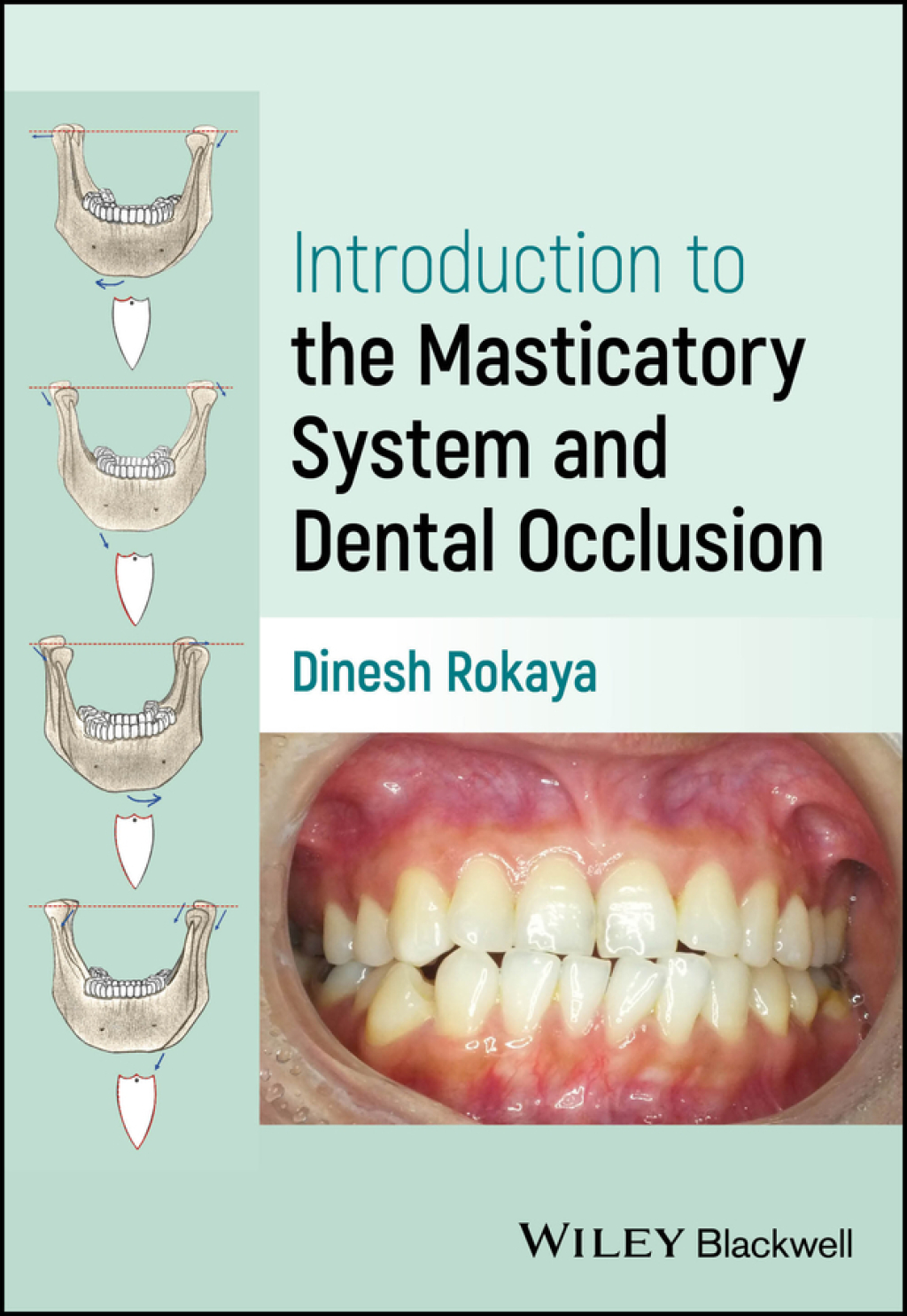 Introduction to the Masticatory System and Dental Occlusion 1st Edition