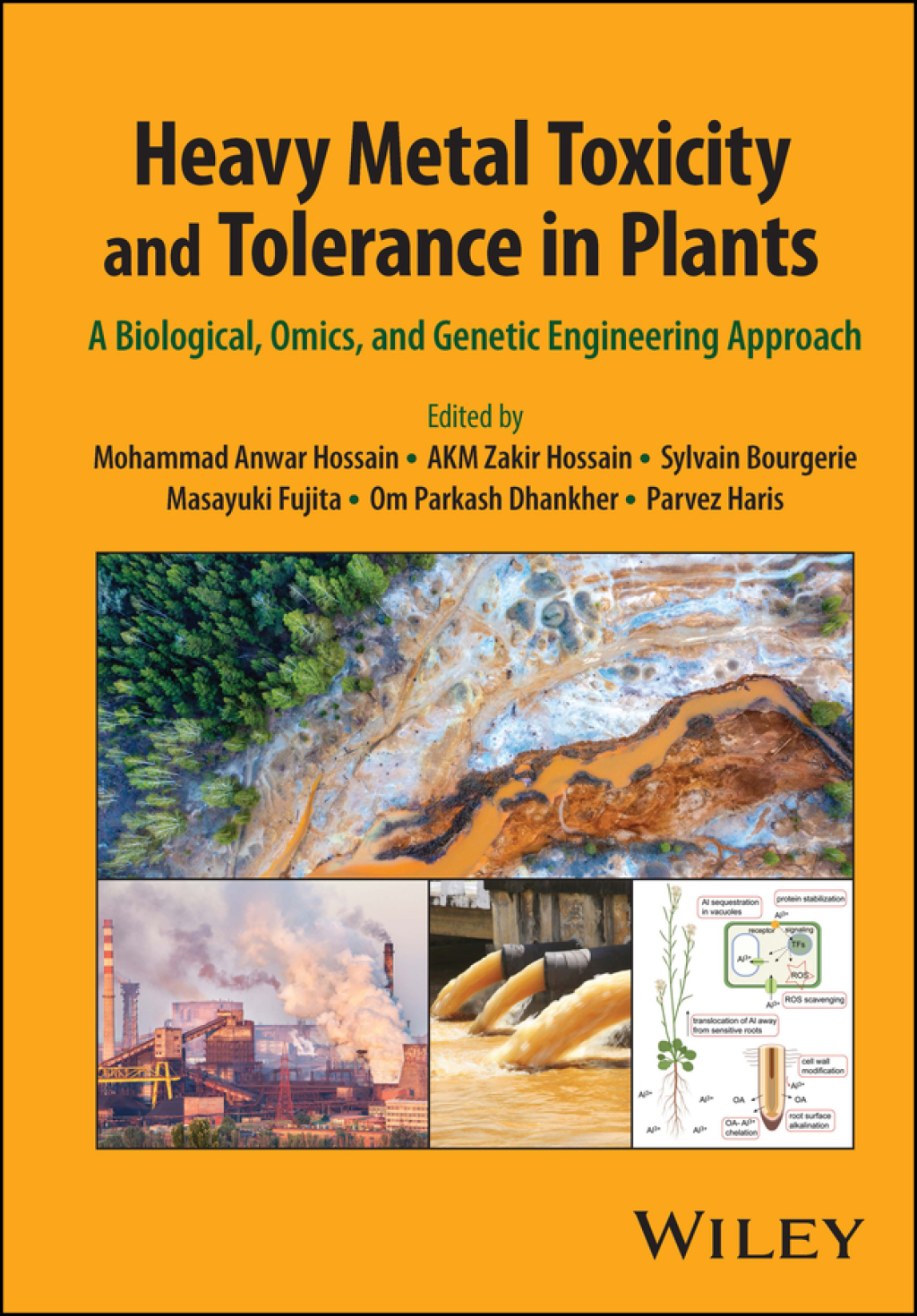 Heavy Metal Toxicity and Tolerance in Plants A Biological, Omics, and Genetic Engineering Approach 1st Edition