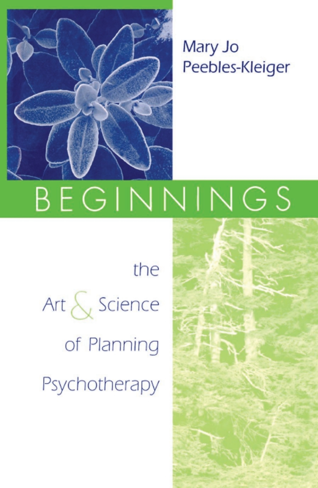 Beginnings The Art and Science of Planning Psychotherapy 1st Edition