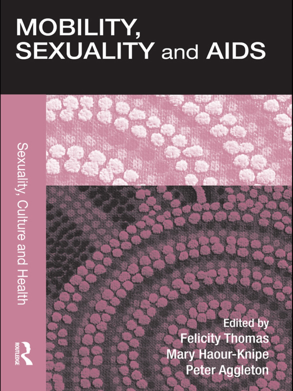 Mobility, Sexuality and AIDS 1st Edition