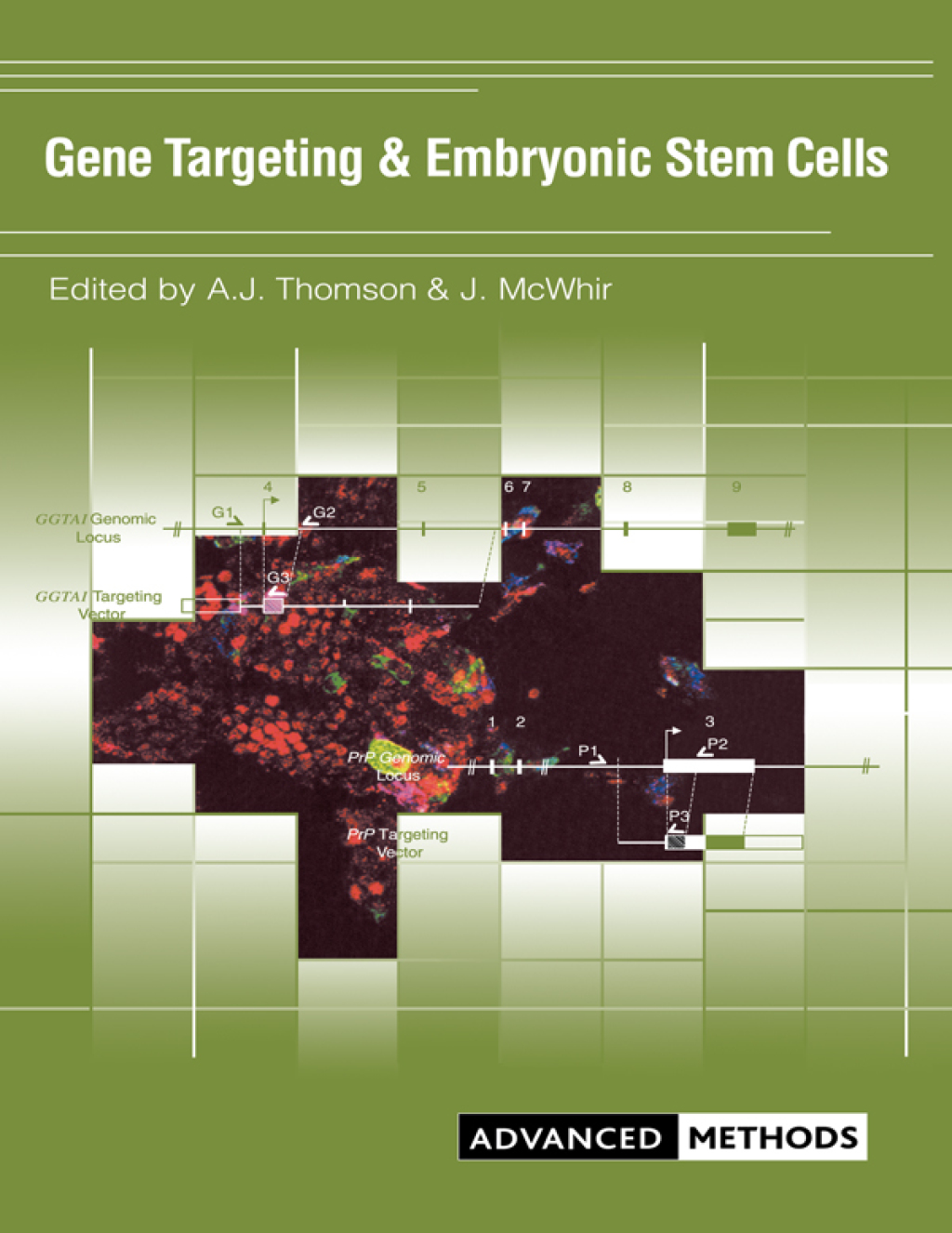 Gene Targeting and Embryonic Stem Cells 1st Edition