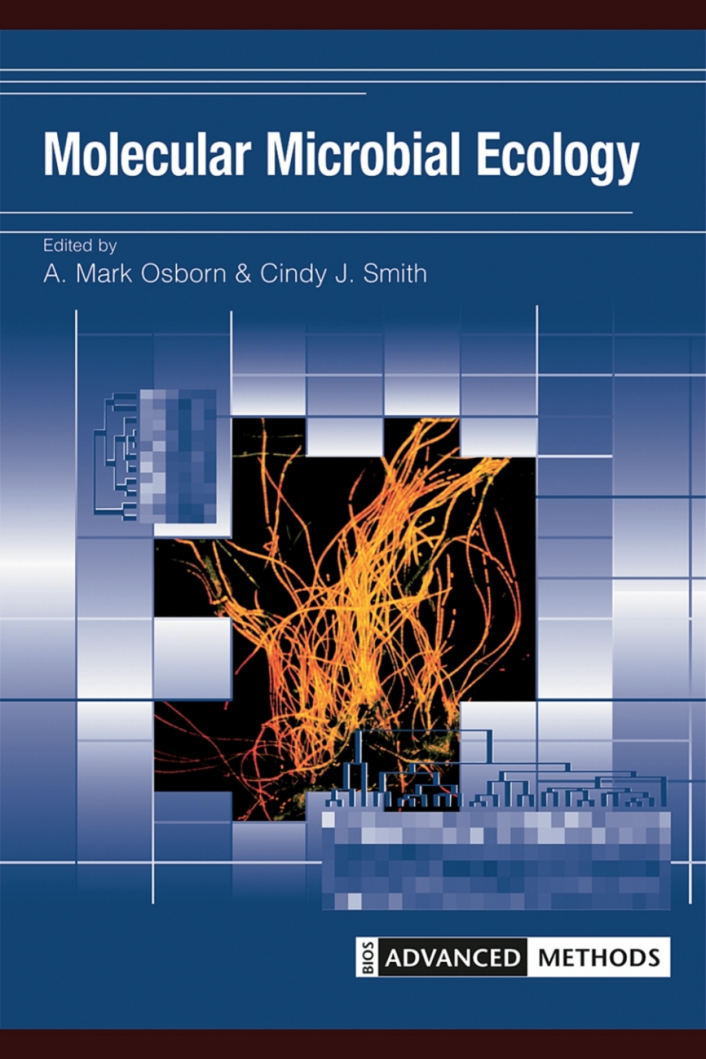 Molecular Microbial Ecology 1st Edition