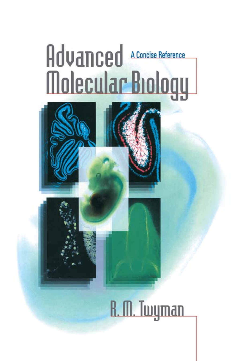 Advanced Molecular Biology A Concise Reference 1st Edition