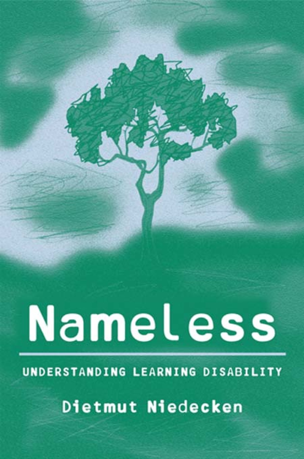 Nameless Understanding Learning Disability 1st Edition
