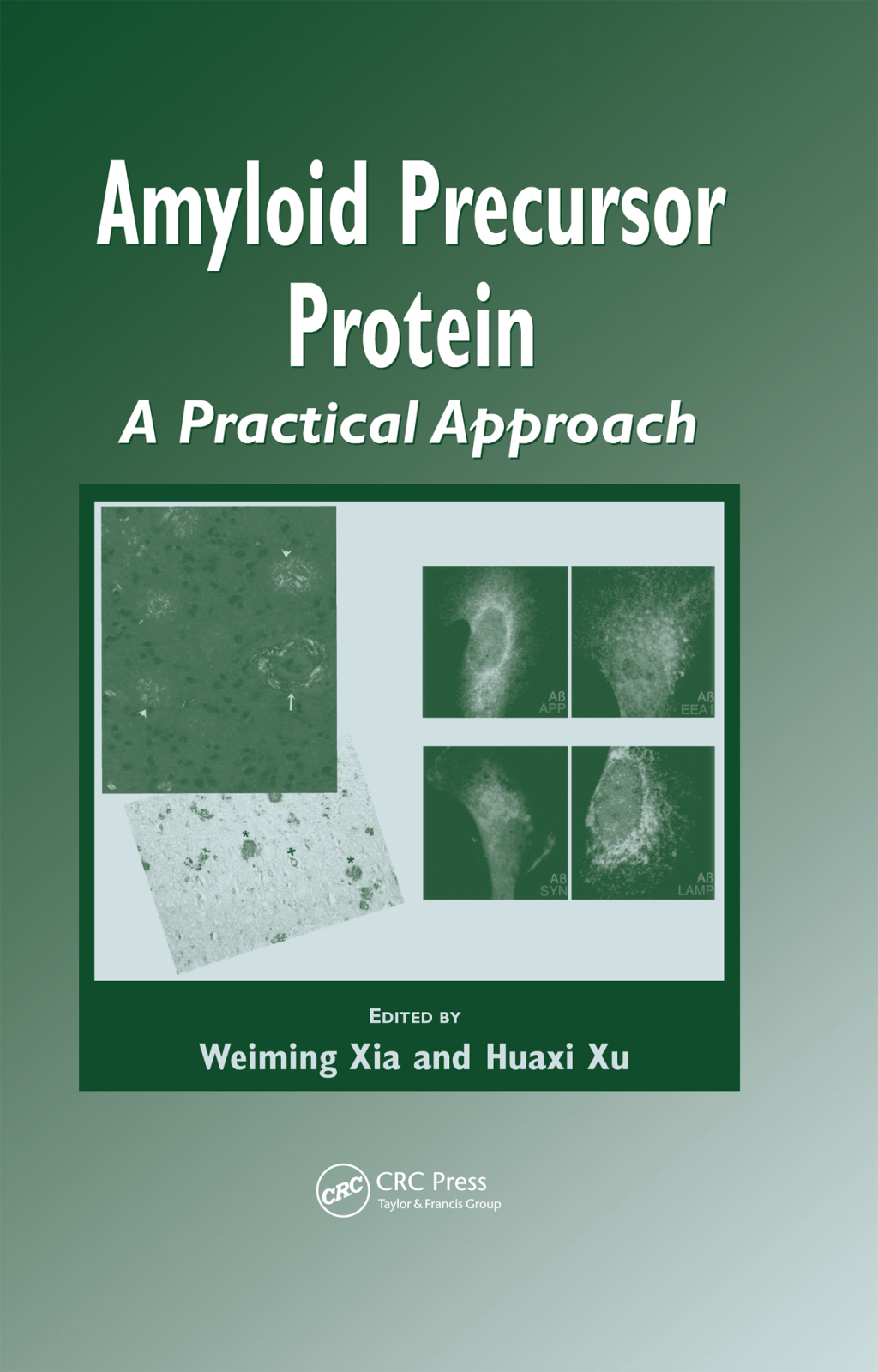 Amyloid Precursor Protein A Practical Approach 1st Edition