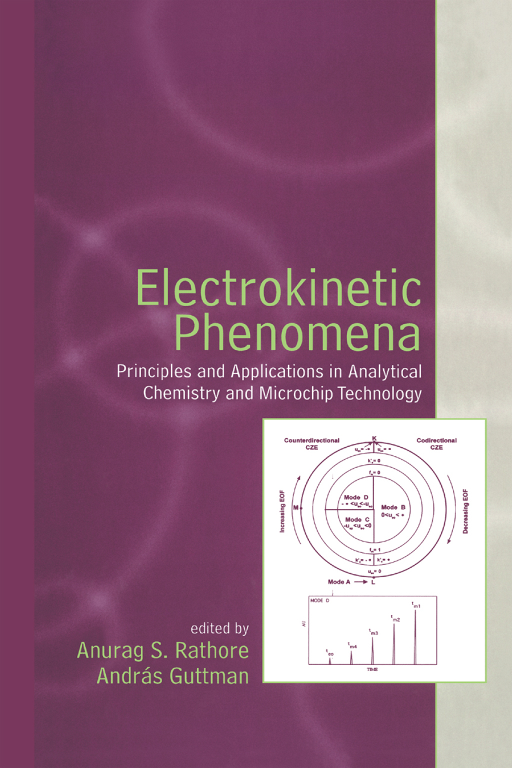 Electrokinetic Phenomena Principles and Applications in Analytical Chemistry and Microchip Technology 1st Edition