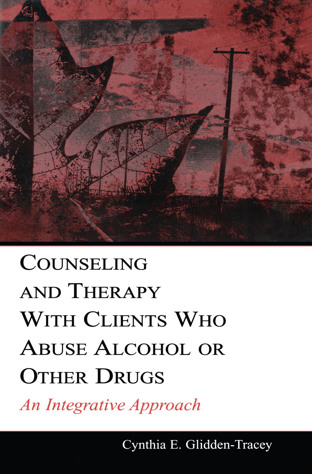 Counseling and Therapy With Clients Who Abuse Alcohol or Other Drugs An Integrative Approach 1st Edition