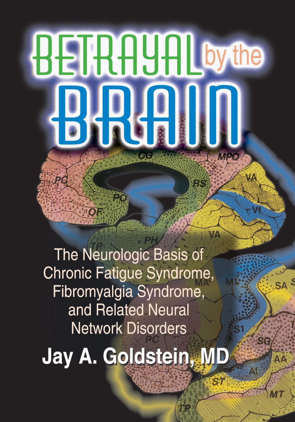 Betrayal by the Brain The Neurologic Basis of Chronic Fatigue Syndrome, Fibromyalgia Syndrome, and Related Neural Network 1st Edition