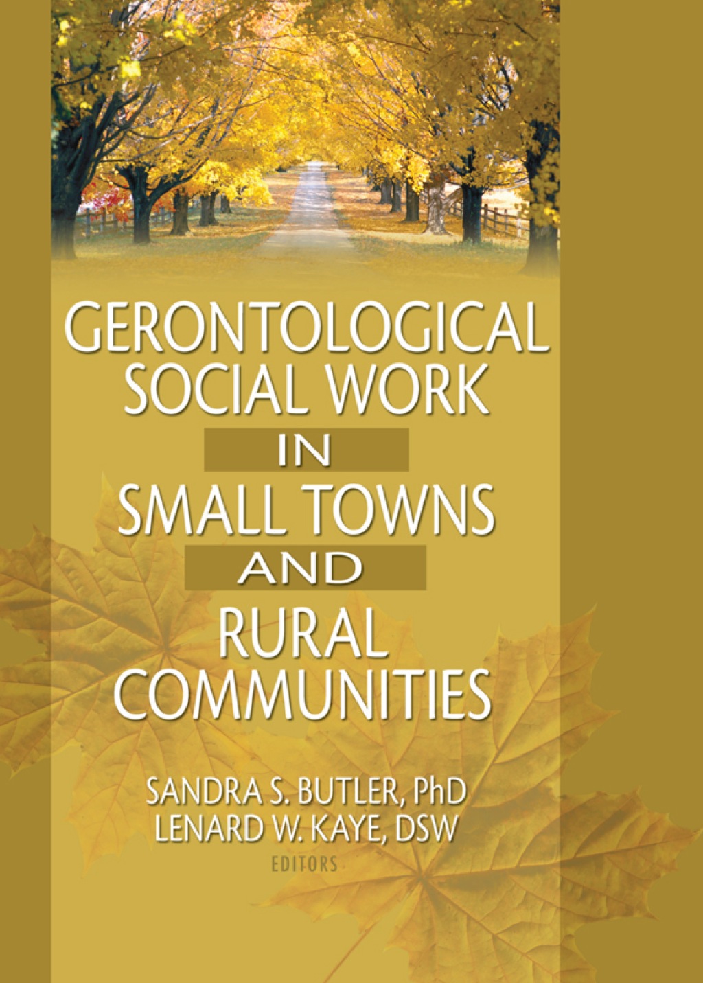 Gerontological Social Work in Small Towns and Rural Communities 1st Edition