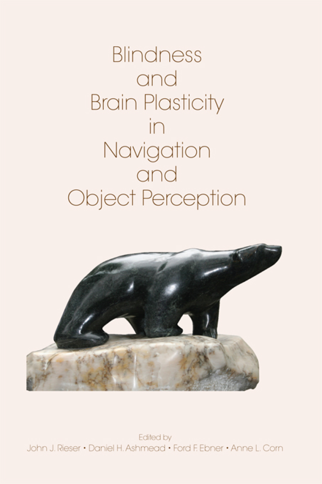 Blindness and Brain Plasticity in Navigation and Object Perception 1st Edition