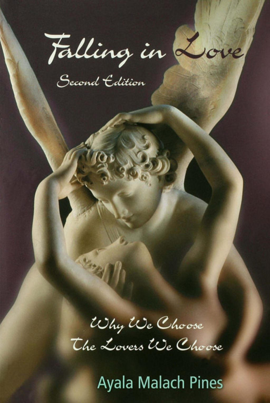 Falling in Love Why We Choose the Lovers We Choose 2nd Edition