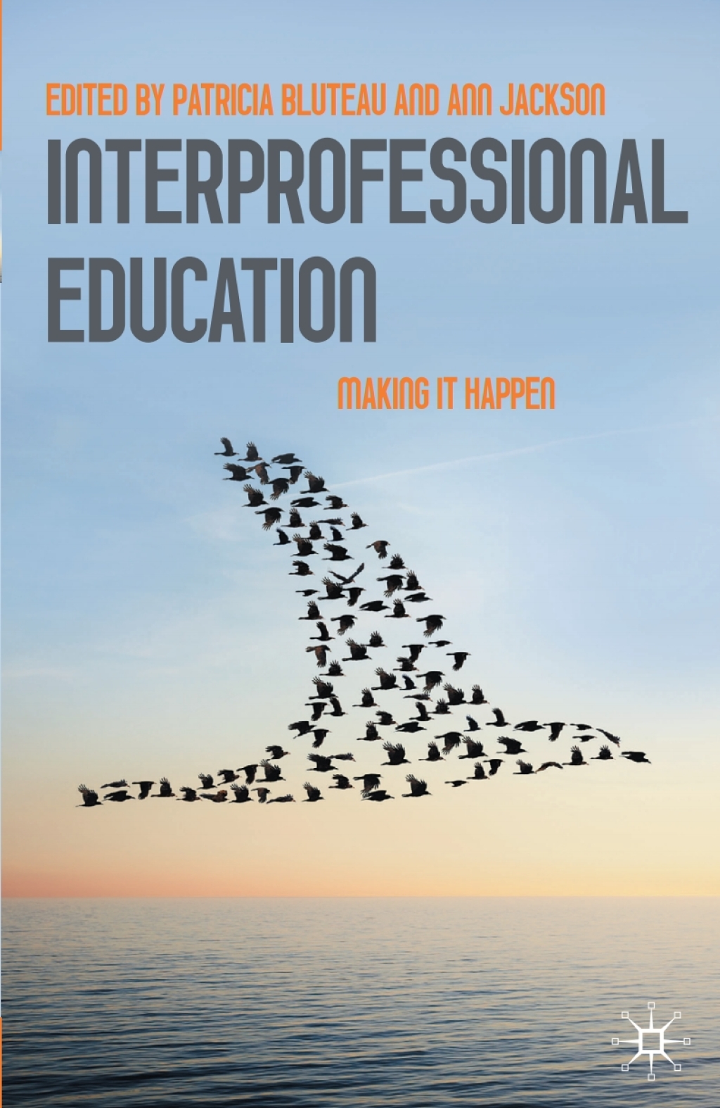 Interprofessional Education Making it Happen 1st Edition