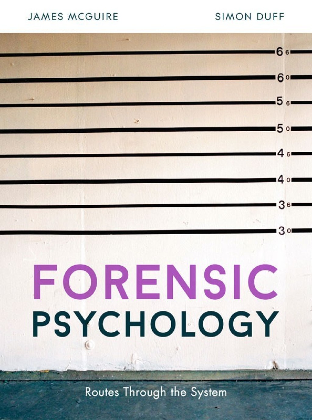 Forensic Psychology Routes through the system 1st Edition