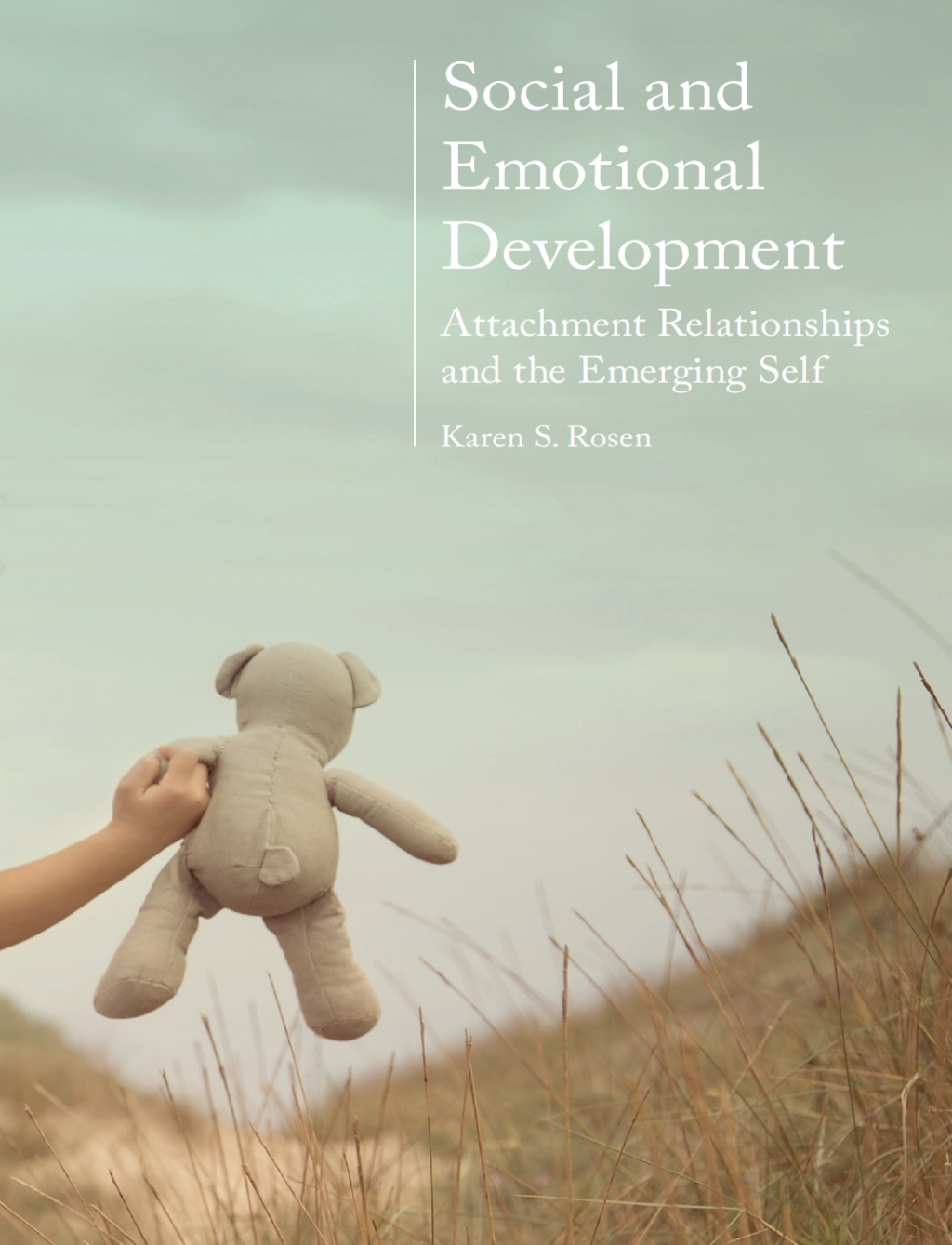 Social and Emotional Development: Attachment Relationships and the Emerging Self 1st Edition
