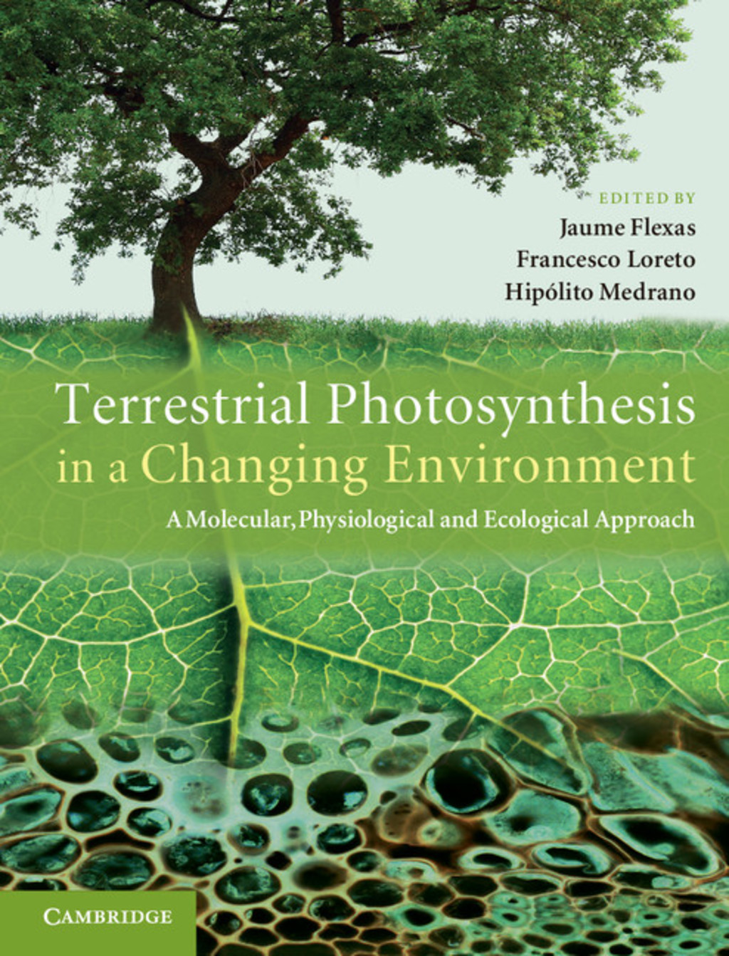 Terrestrial Photosynthesis in a Changing Environment A Molecular, Physiological, and Ecological Approach 1st Edition