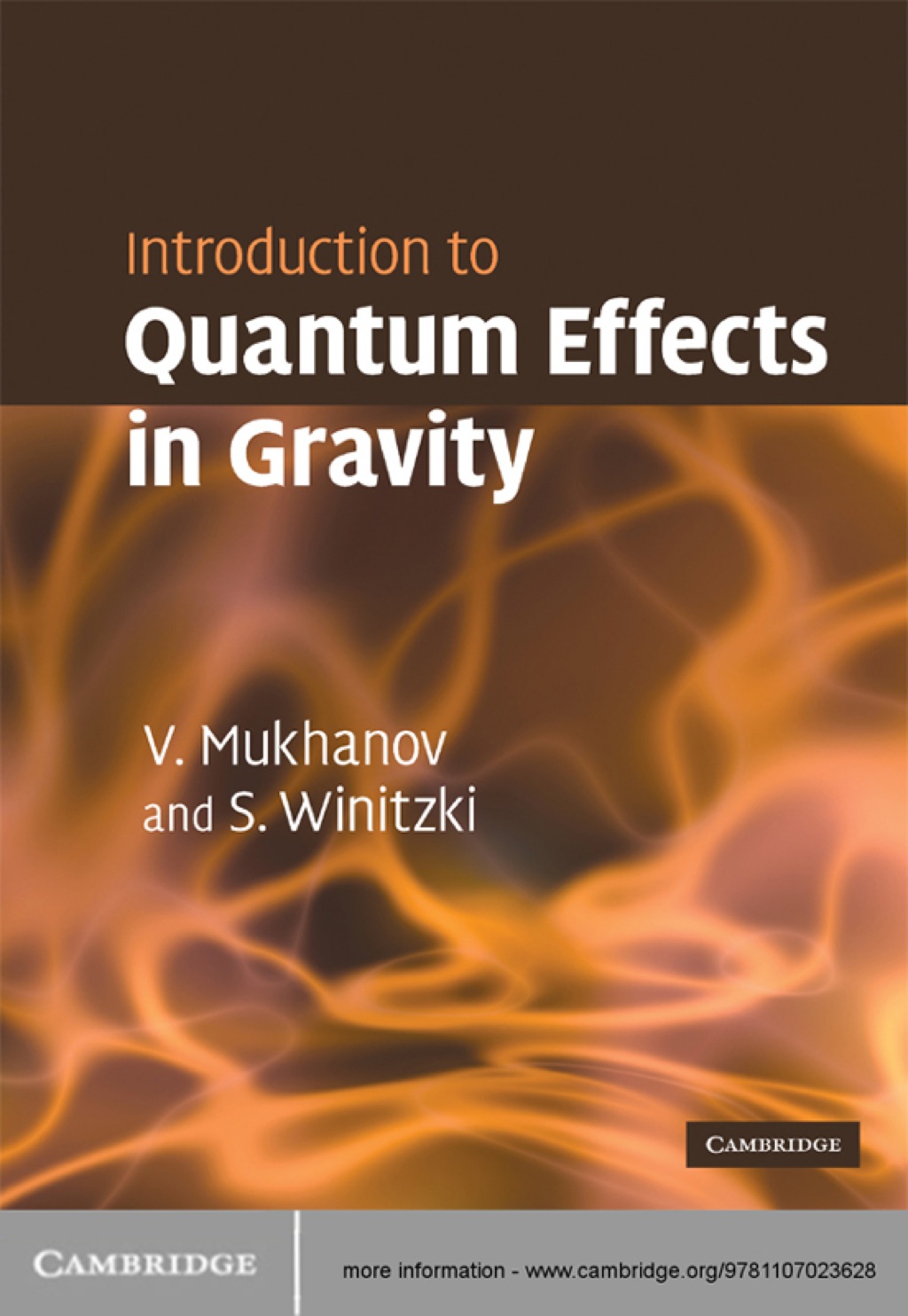 Introduction to Quantum Effects in Gravity 1st Edition