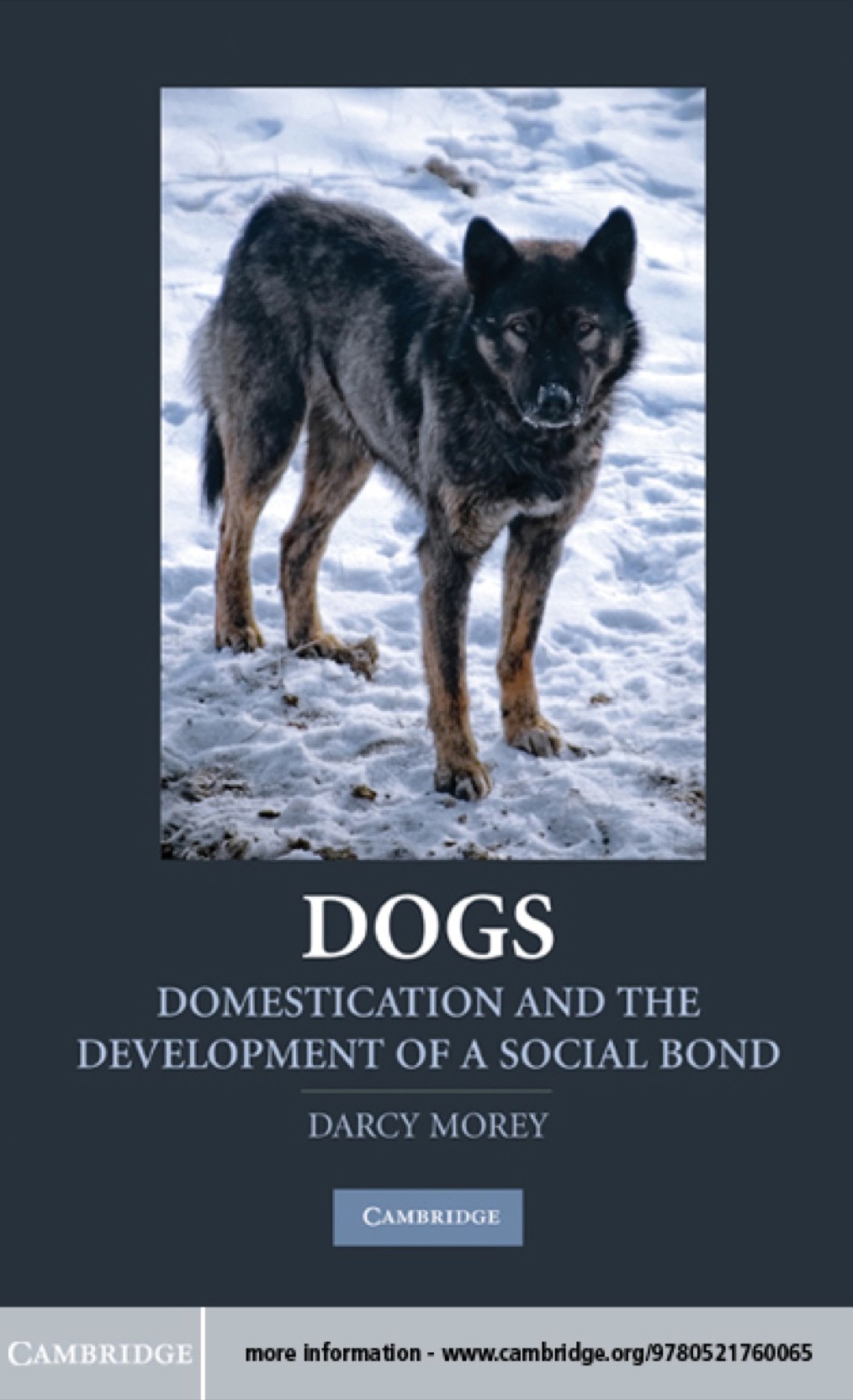 Dogs Domestication and the Development of a Social Bond 