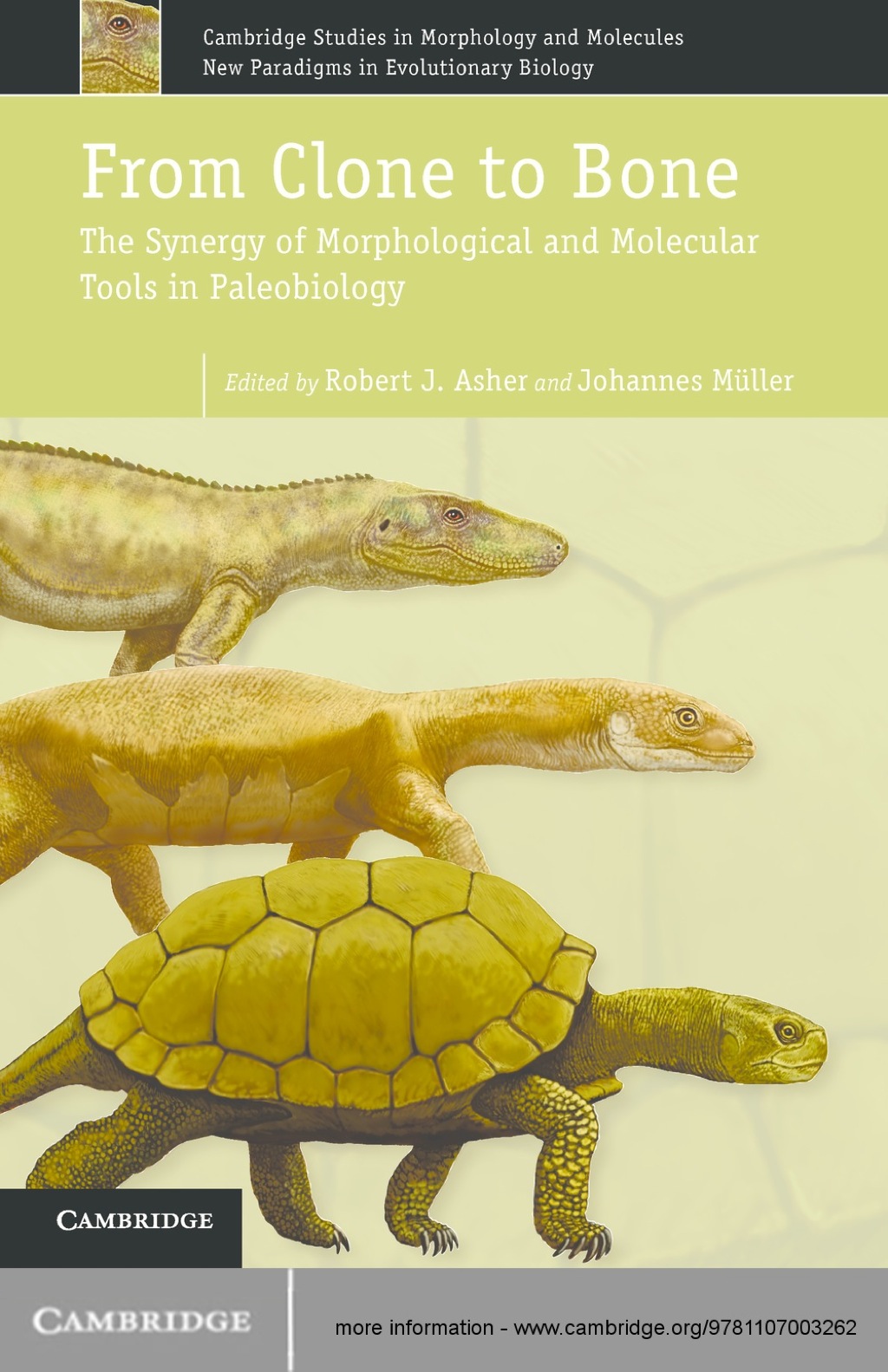 From Clone to Bone The Synergy of Morphological and Molecular Tools in Palaeobiology 1st Edition