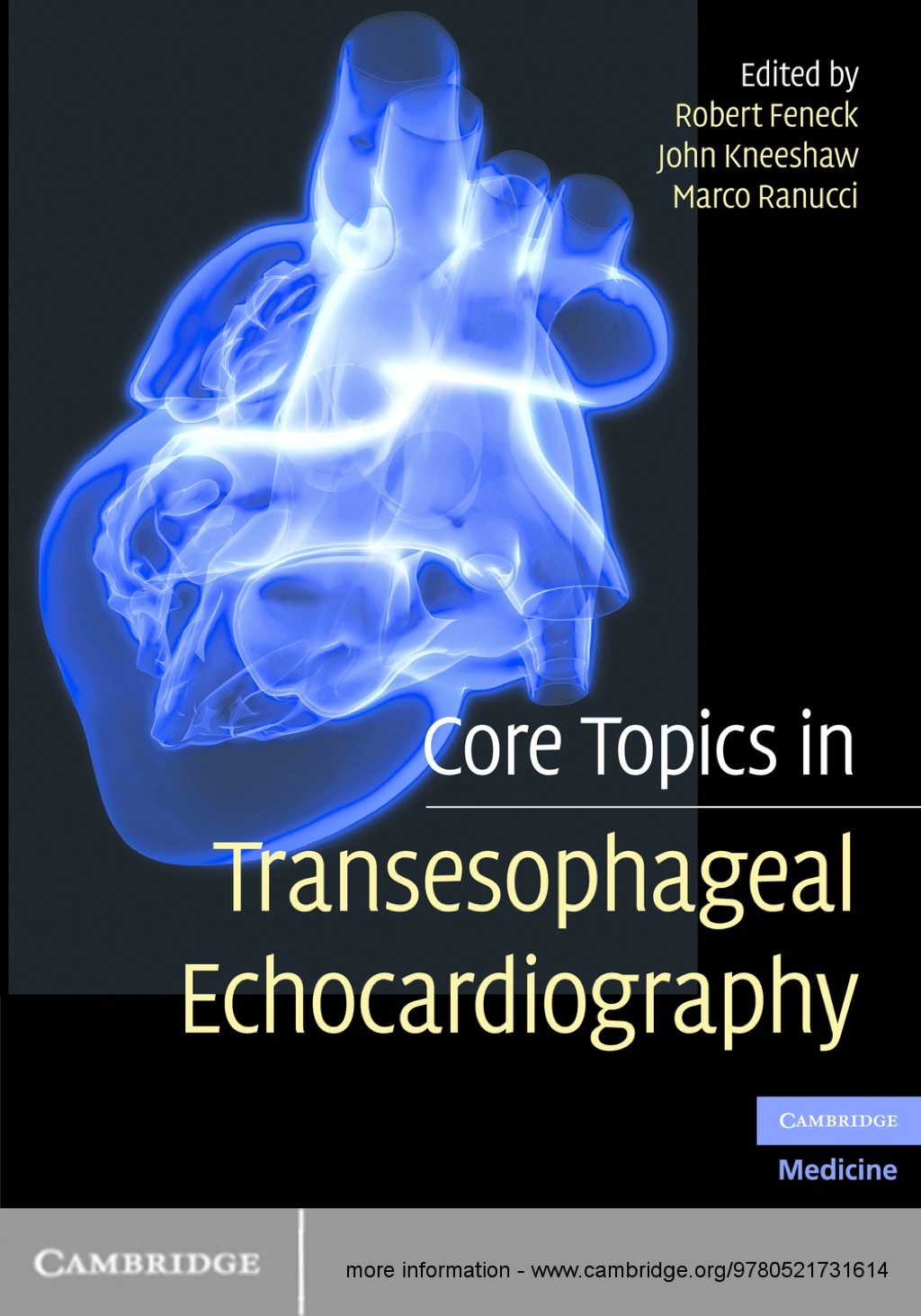 Core Topics in Transesophageal Echocardiography 1st Edition