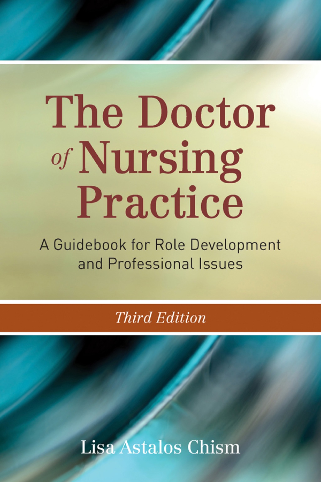 The Doctor of Nursing Practice 3rd Edition