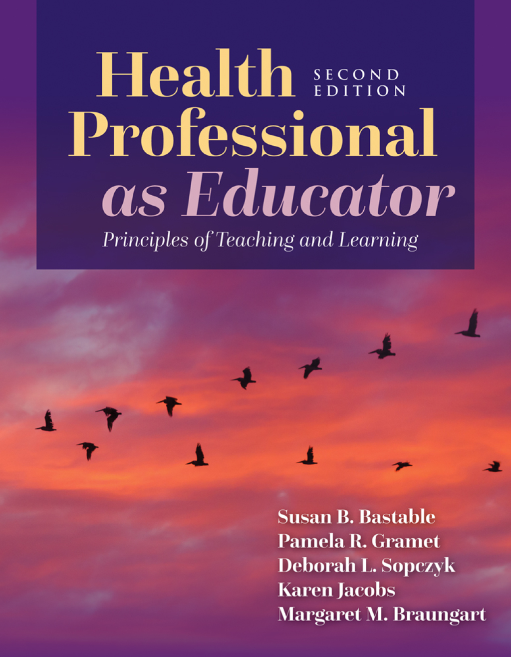 Health Professional as Educator 2nd Edition