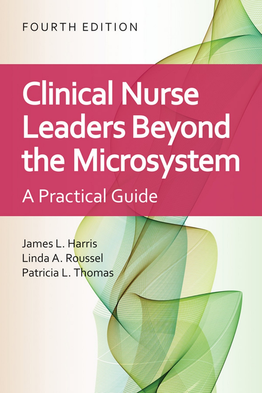 Clinical Nurse Leaders Beyond the Microsystem 4th Edition