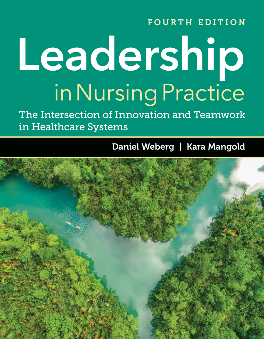 Leadership in Nursing Practice: The Intersection of Innovation and Teamwork in Healthcare Systems 4th Edition