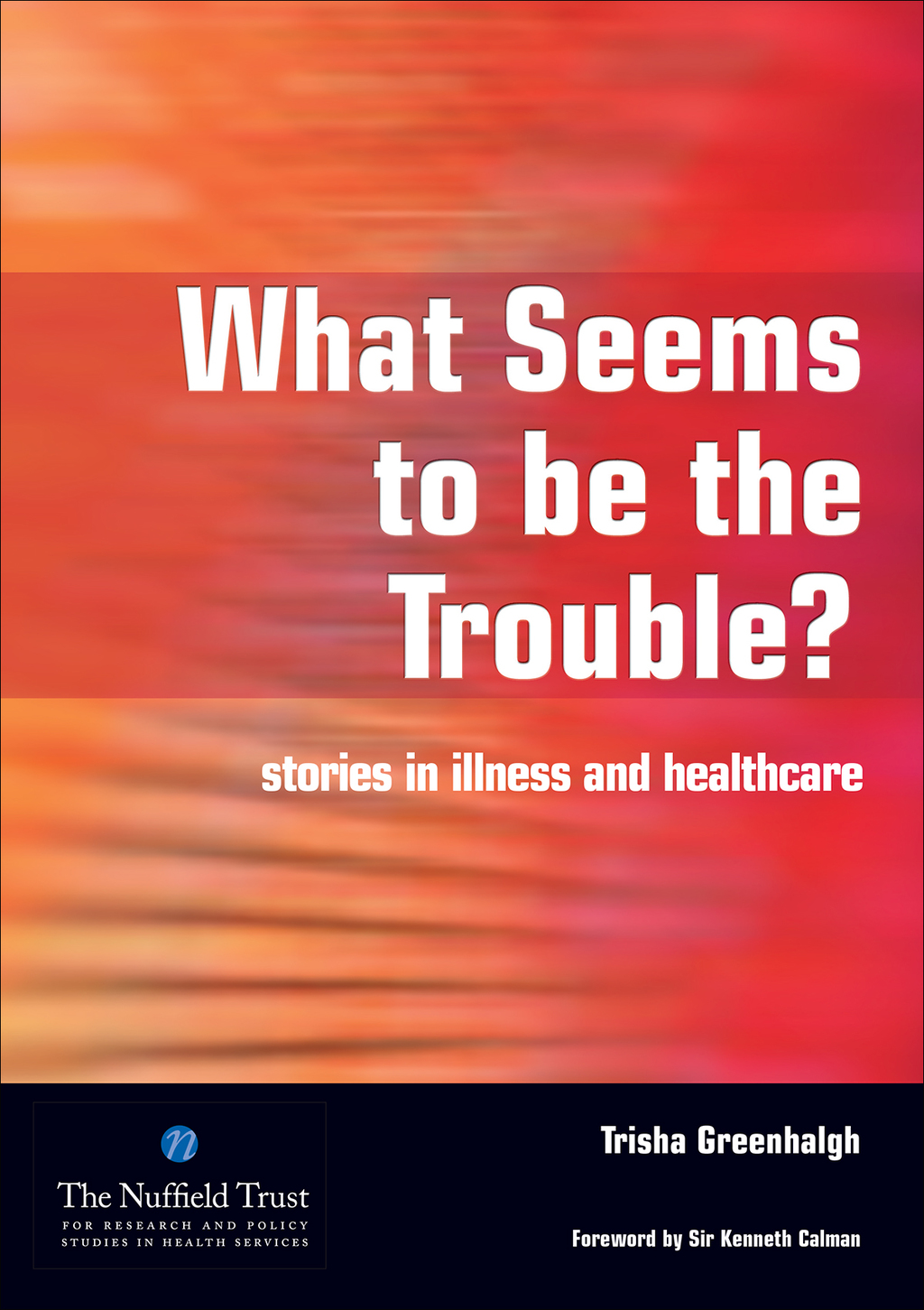 What Seems to be the Trouble? Stories in Illness and Healthcare 1st Edition