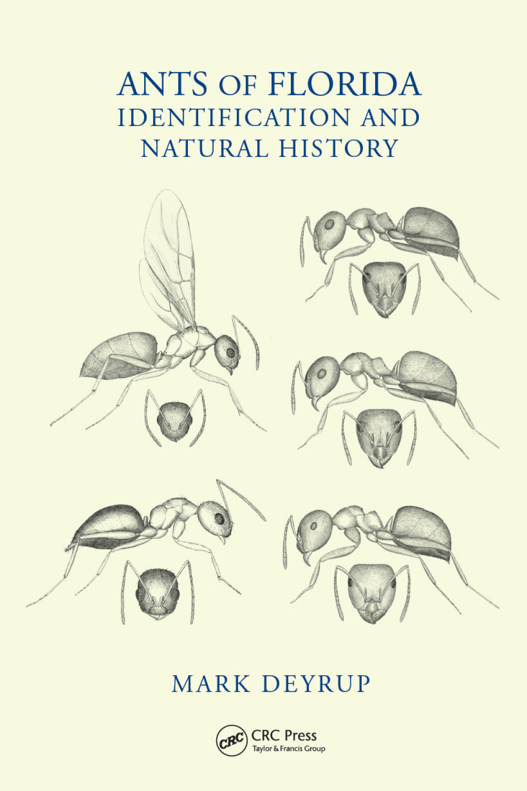 Ants of Florida Identification and Natural History 1st Edition