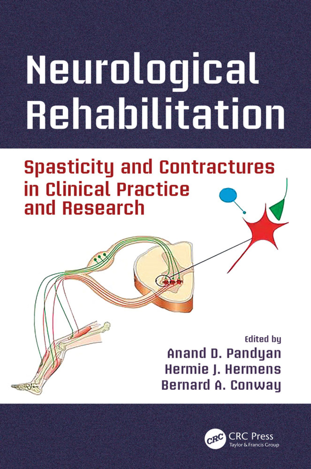 Neurological Rehabilitation Spasticity and Contractures in Clinical Practice and Research 1st Edition