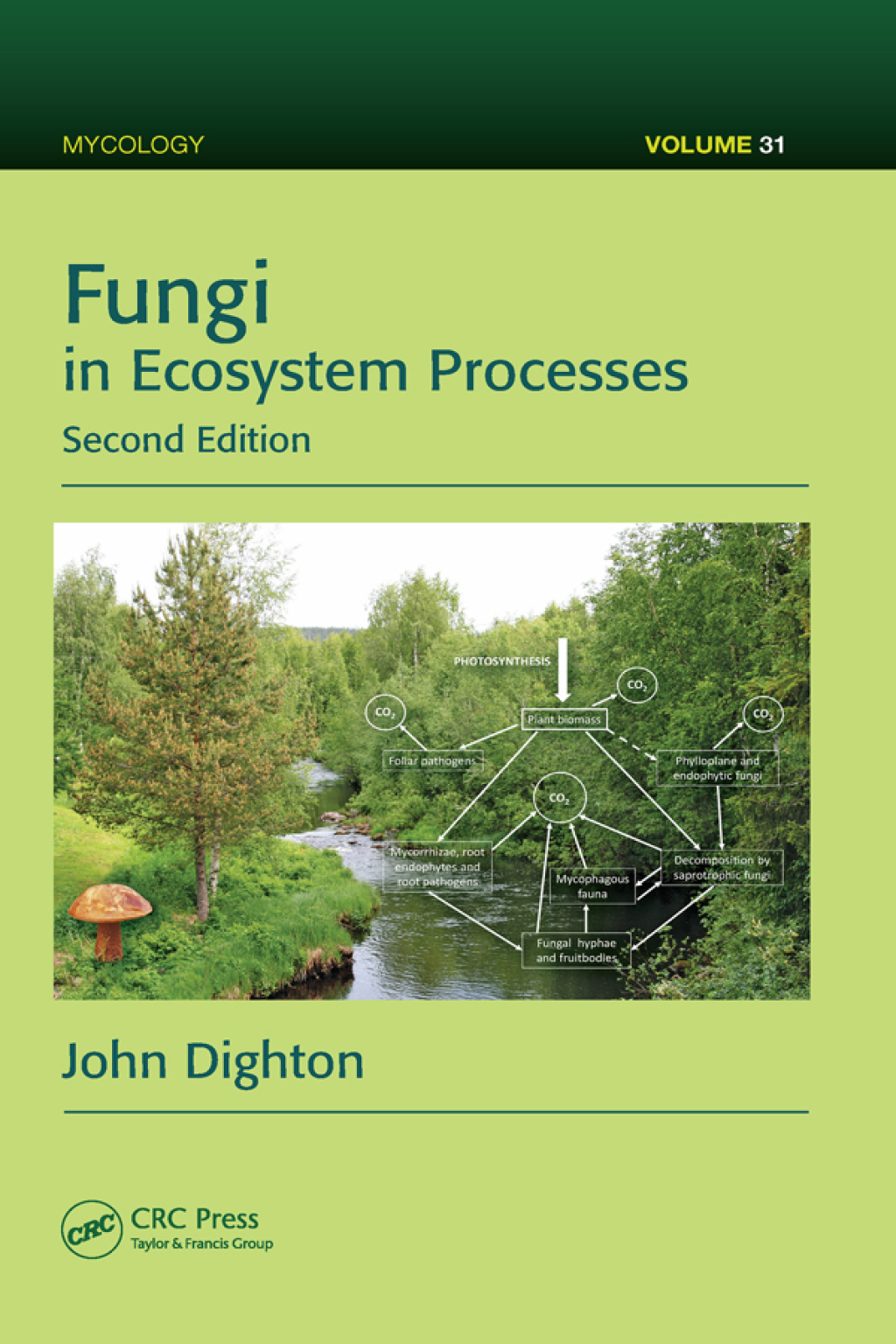 Fungi in Ecosystem Processes 2nd Edition