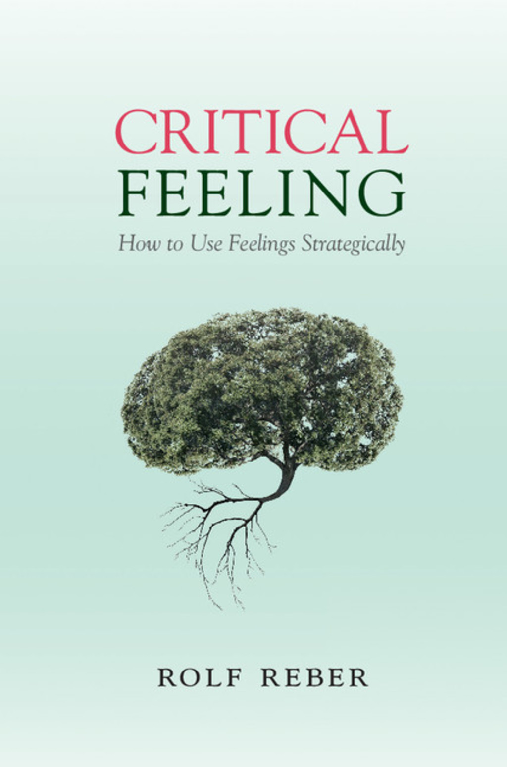 Critical Feeling How to Use Feelings Strategically 