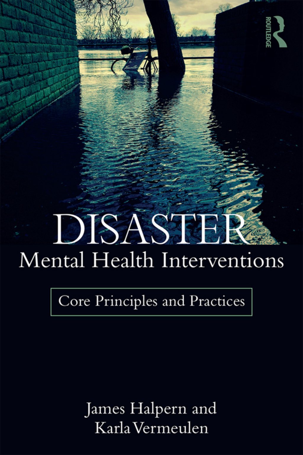 Disaster Mental Health Interventions Core Principles and Practices 1st Edition