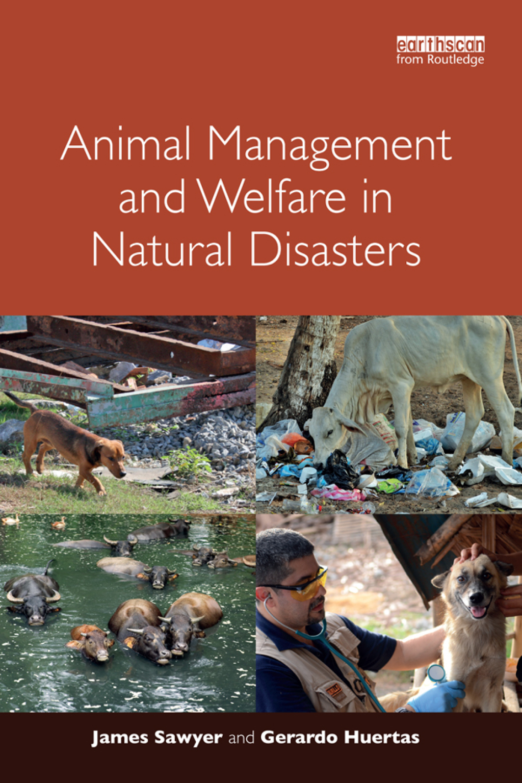 Animal Management and Welfare in Natural Disasters 1st Edition