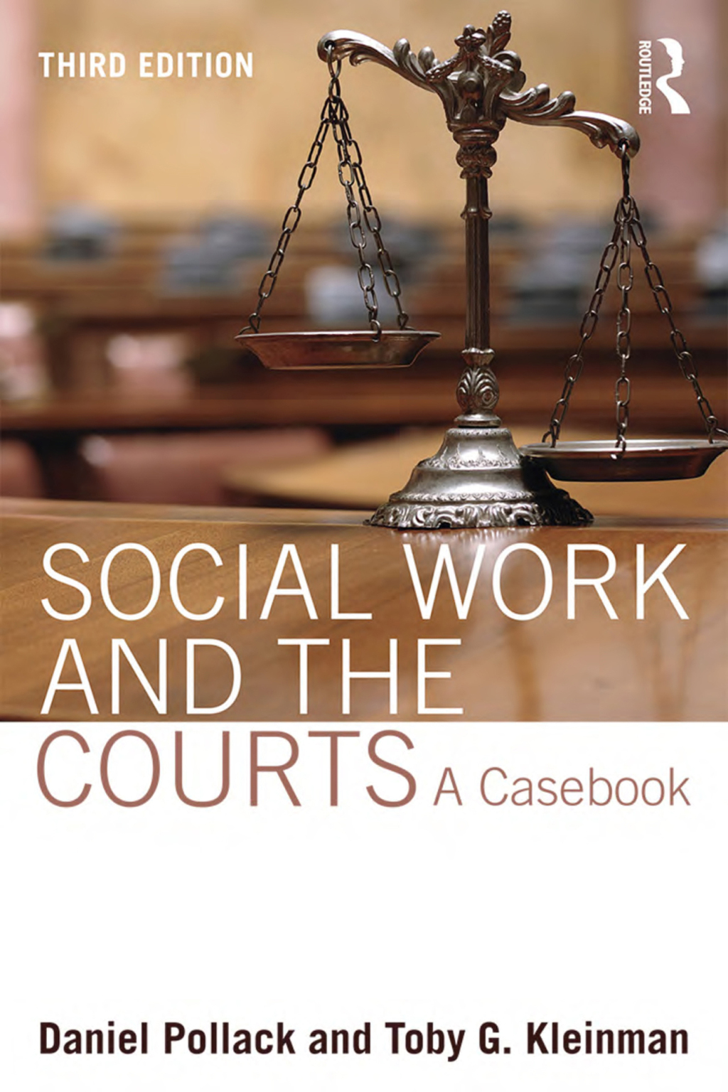 Social Work and the Courts A Casebook 3rd Edition