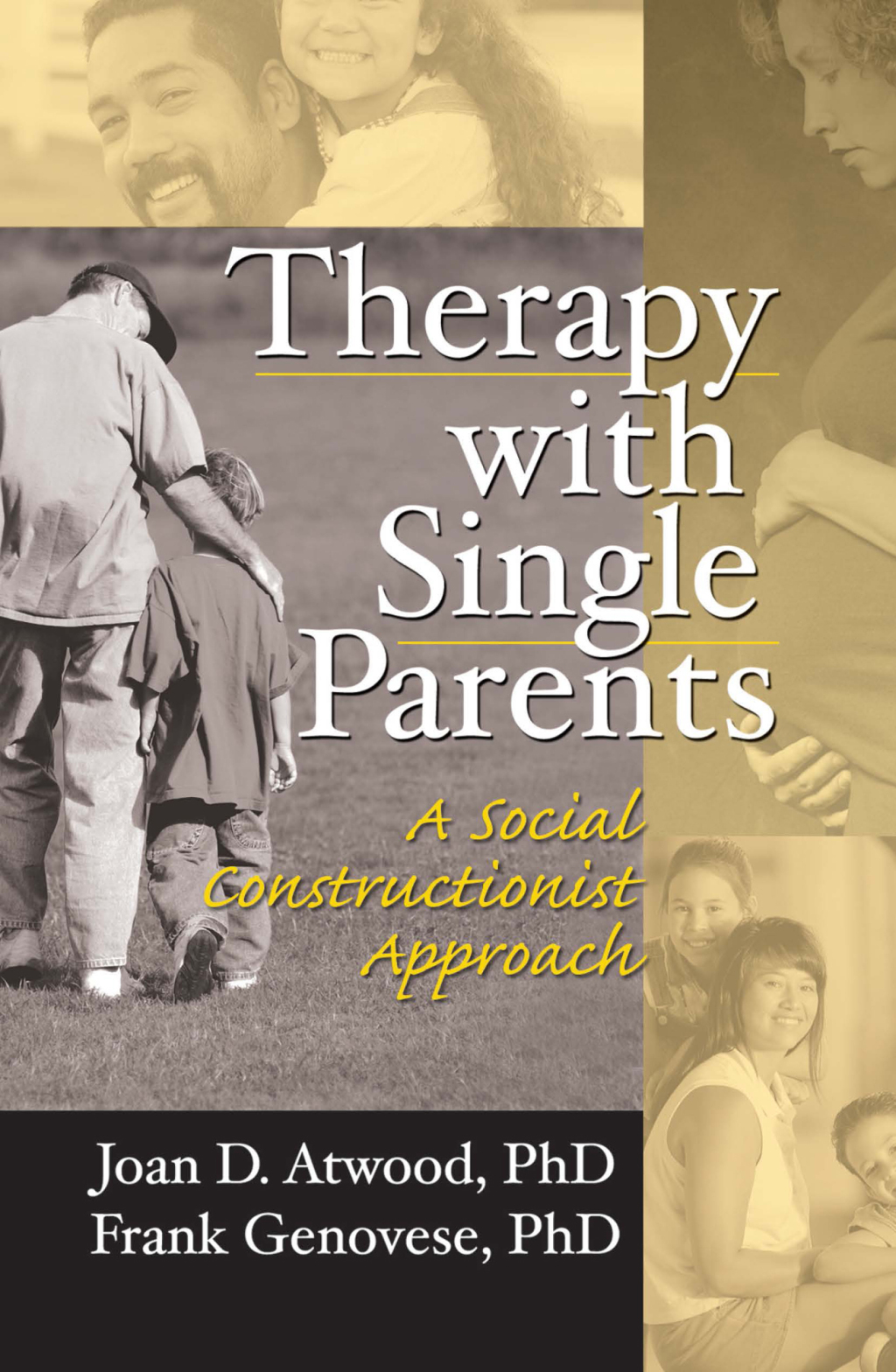 Therapy with Single Parents A Social Constructionist Approach 1st Edition